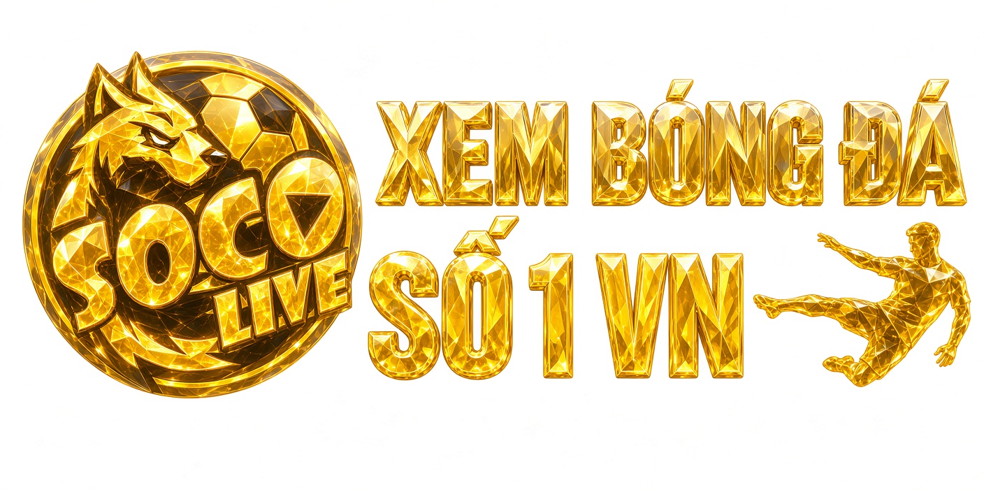 logo footer socolive